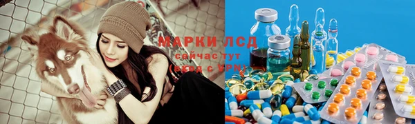 mdpv Богданович