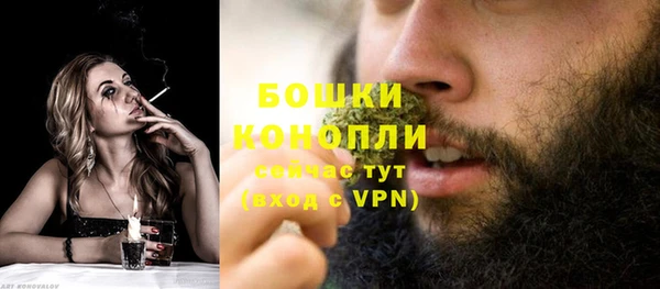mdpv Богданович