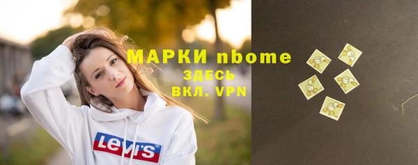 мдпв Богородицк