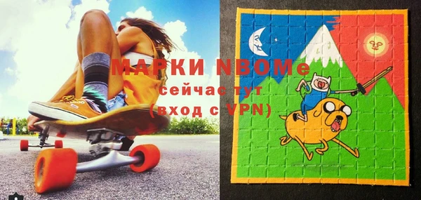 бошки Бронницы