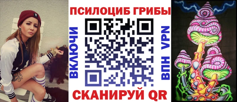 Купить где  Макушино  Псилоцибиновые грибы мухоморы 